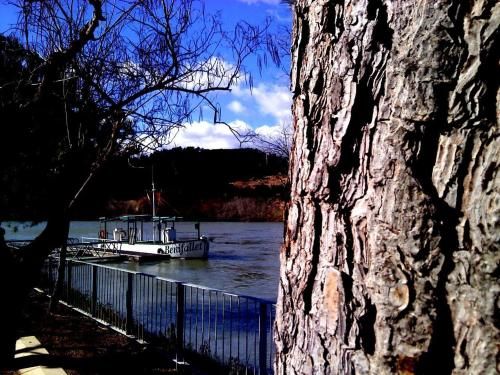 Outdoor Pictures 10