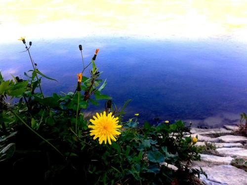 Outdoor Pictures 13