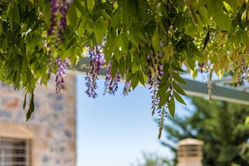 Outdoor Pictures 20