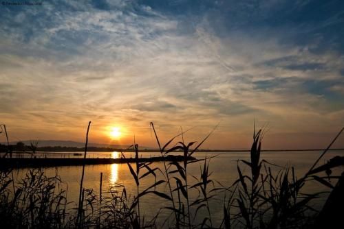 Outdoor Pictures 15