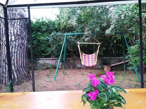 Outdoor Pictures 6