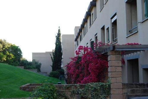 Outdoor Pictures 11
