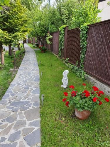 Outdoor Pictures 5