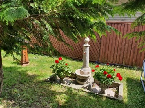 Outdoor Pictures 6