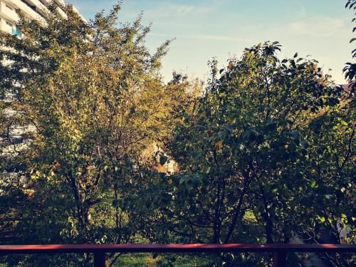 Outdoor Pictures 10