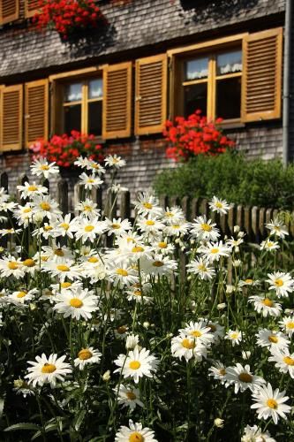 Outdoor Pictures 14