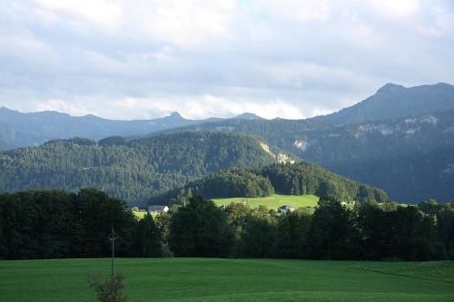 Outdoor Pictures 16