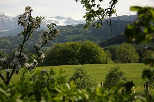 Outdoor Pictures 17