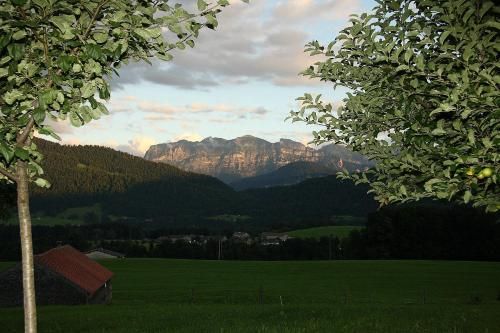 Outdoor Pictures 23