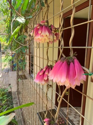 Outdoor Pictures 7