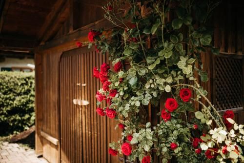 Outdoor Pictures 15