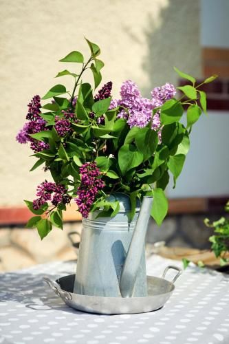 Outdoor Pictures 20