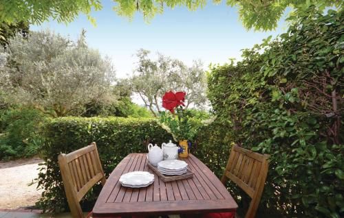 Outdoor Pictures 7