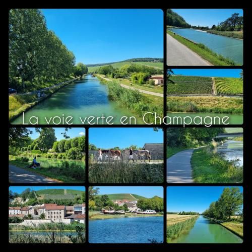 Gîte Enjoy En Champagne avec Verger