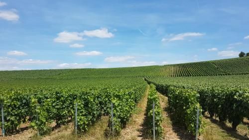 Gîte Enjoy En Champagne avec Verger