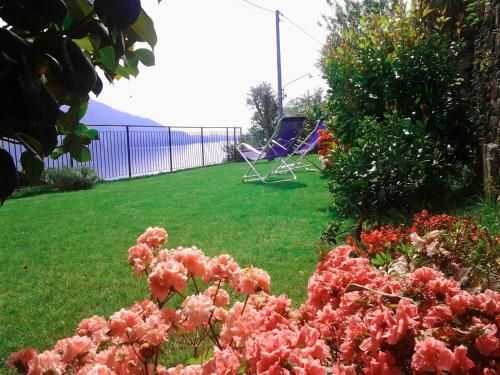 Outdoor Pictures 15
