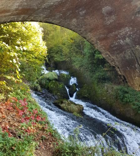 Outdoor Pictures 7