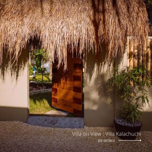 Outdoor Pictures 21