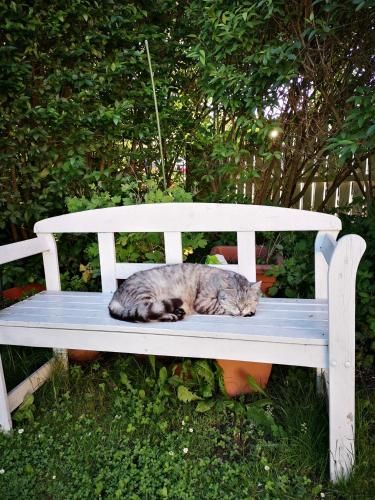 Outdoor Pictures 9