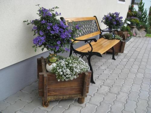 Outdoor Pictures 12