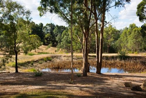 Outdoor Pictures 21