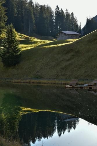 Outdoor Pictures 5