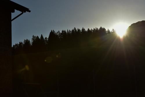 Outdoor Pictures 9