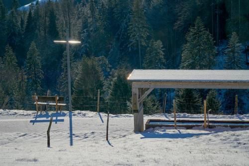 Outdoor Pictures 4