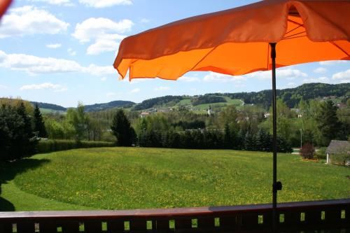 Outdoor Pictures 1