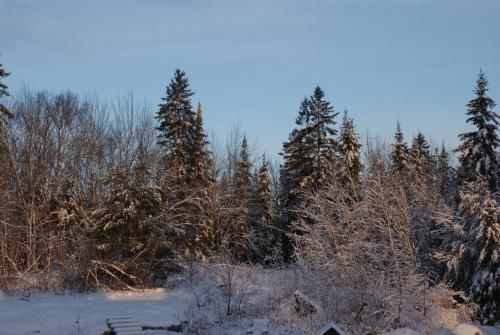 Outdoor Pictures 24