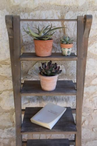 Outdoor Pictures 7