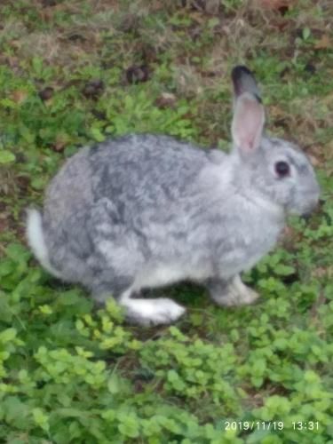 Outdoor Pictures 11