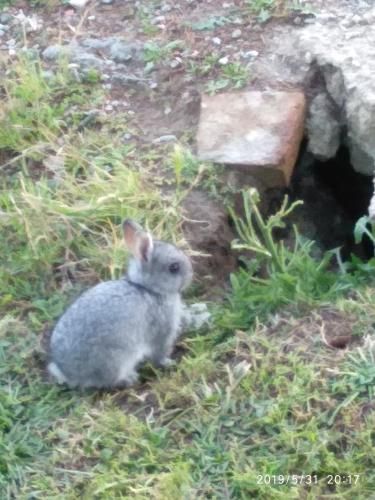 Outdoor Pictures 14