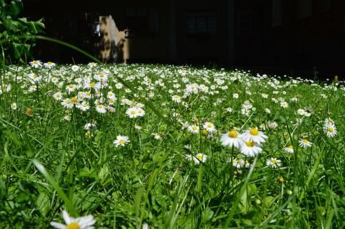 Outdoor Pictures 24