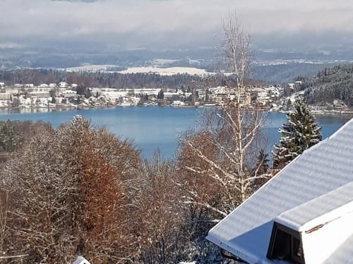 Outdoor Pictures 11