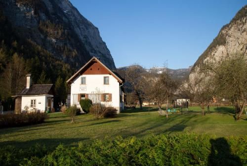 Outdoor Pictures 8