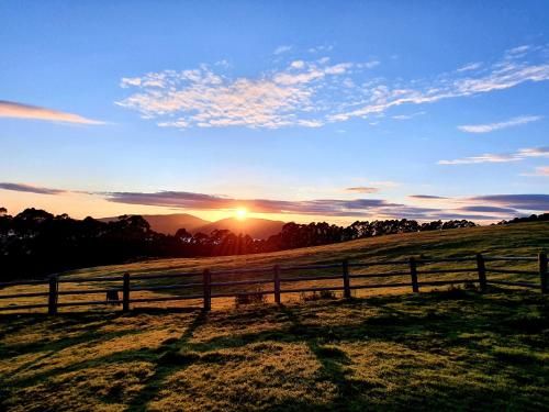 Outdoor Pictures 24