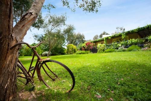 Outdoor Pictures 15