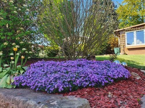Outdoor Pictures 7