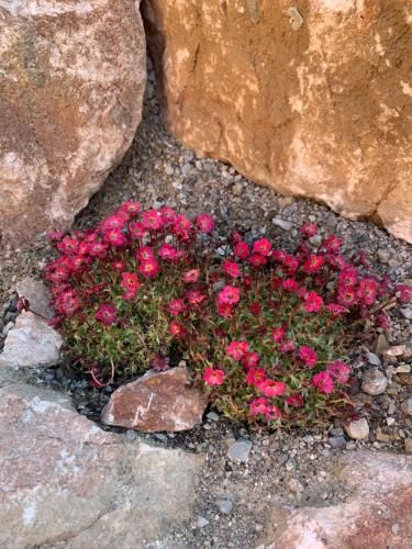 Outdoor Pictures 8