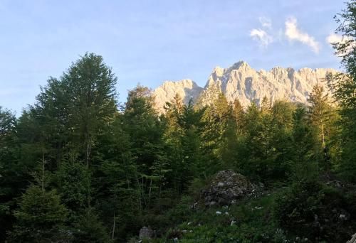 Outdoor Pictures 21