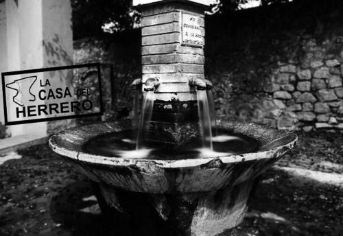Outdoor Pictures 13
