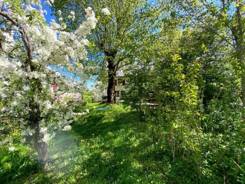 Outdoor Pictures 11