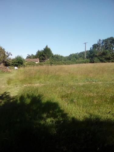 Outdoor Pictures 5