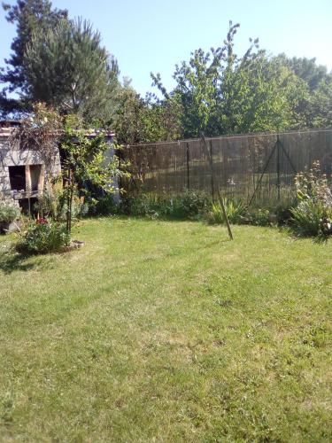Outdoor Pictures 8