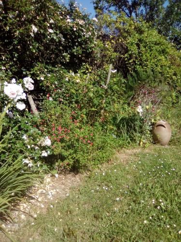 Outdoor Pictures 11