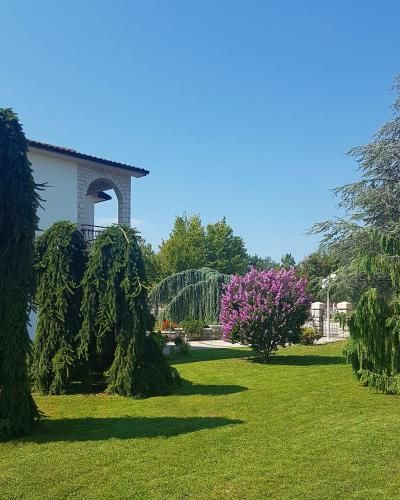 Outdoor Pictures 7