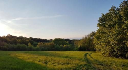Outdoor Pictures 21