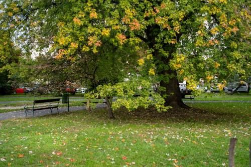 Outdoor Pictures 15