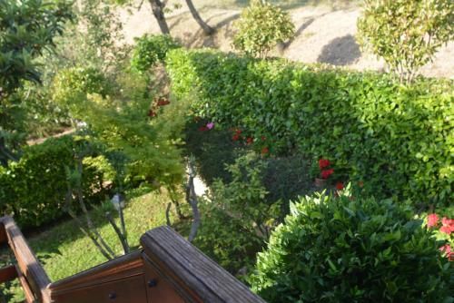 Outdoor Pictures 24
